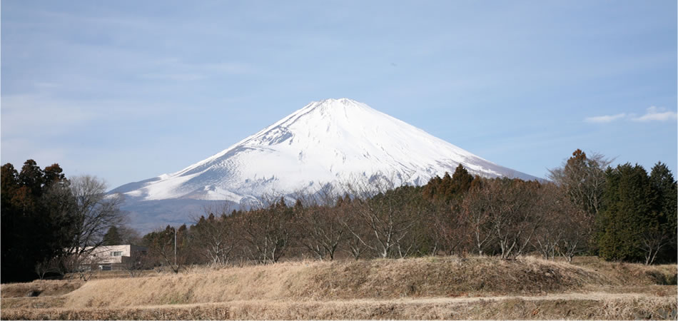 地元への取り組み